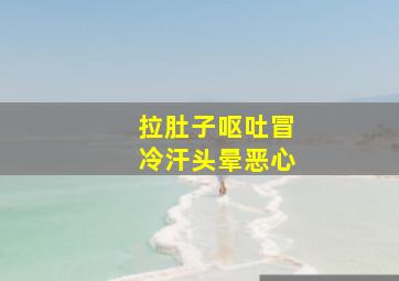 拉肚子呕吐冒冷汗头晕恶心