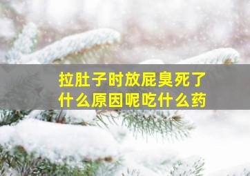 拉肚子时放屁臭死了什么原因呢吃什么药