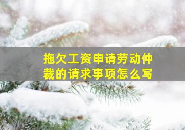 拖欠工资申请劳动仲裁的请求事项怎么写