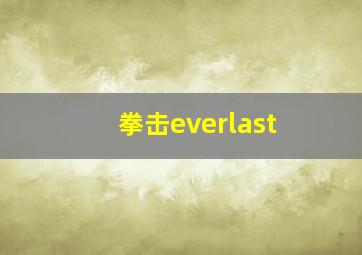 拳击everlast