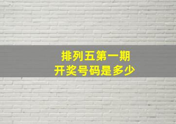 排列五第一期开奖号码是多少