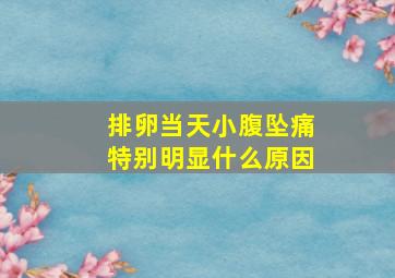 排卵当天小腹坠痛特别明显什么原因