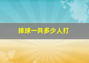 排球一共多少人打