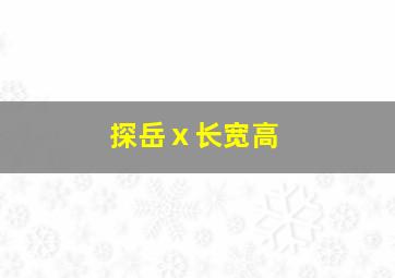 探岳ⅹ长宽高