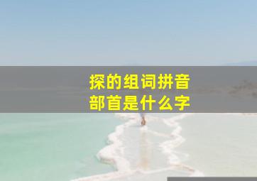 探的组词拼音部首是什么字