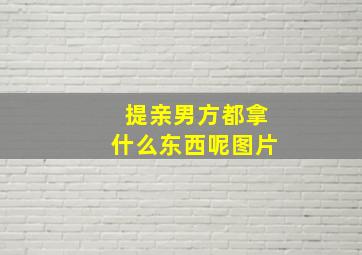 提亲男方都拿什么东西呢图片