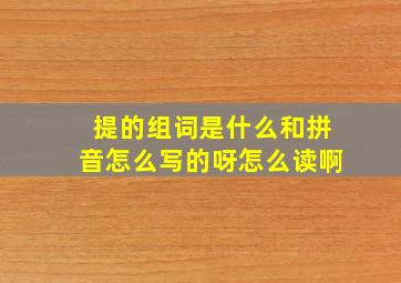 提的组词是什么和拼音怎么写的呀怎么读啊