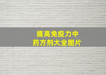 提高免疫力中药方剂大全图片