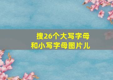 搜26个大写字母和小写字母图片儿