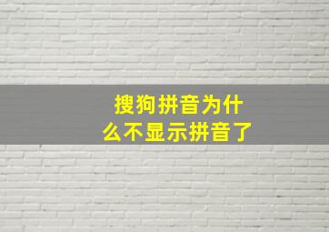 搜狗拼音为什么不显示拼音了