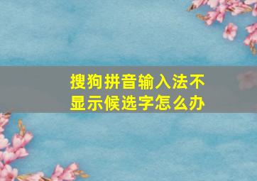 搜狗拼音输入法不显示候选字怎么办