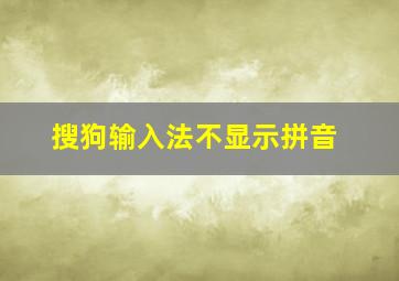 搜狗输入法不显示拼音