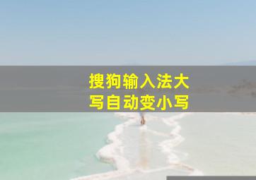 搜狗输入法大写自动变小写