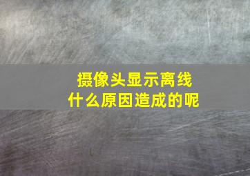 摄像头显示离线什么原因造成的呢