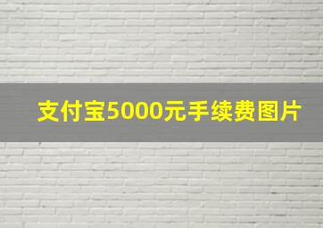 支付宝5000元手续费图片