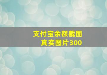 支付宝余额截图真实图片300