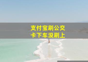 支付宝刷公交卡下车没刷上