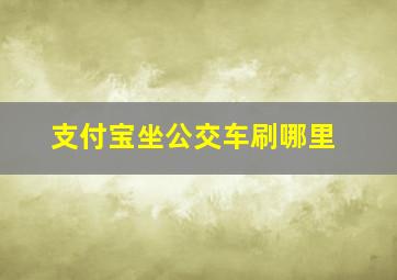 支付宝坐公交车刷哪里