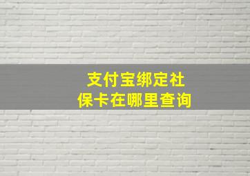 支付宝绑定社保卡在哪里查询