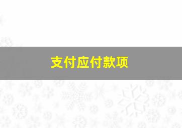 支付应付款项