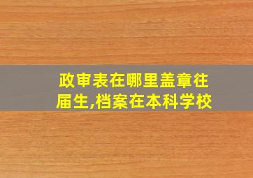 政审表在哪里盖章往届生,档案在本科学校