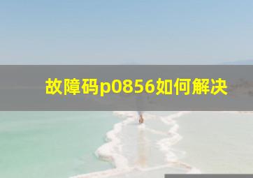 故障码p0856如何解决