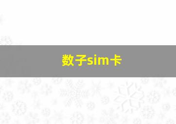 数子sim卡