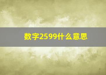 数字2599什么意思