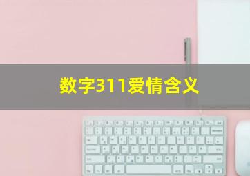 数字311爱情含义