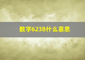 数字6238什么意思