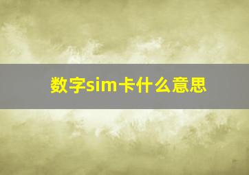 数字sim卡什么意思