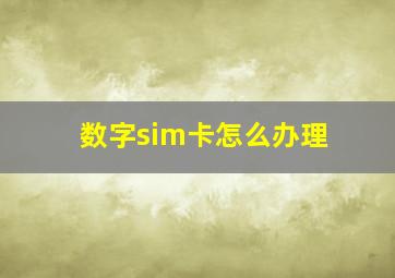 数字sim卡怎么办理