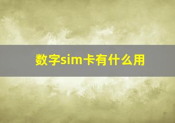 数字sim卡有什么用