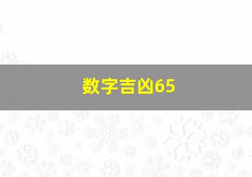 数字吉凶65