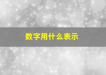 数字用什么表示