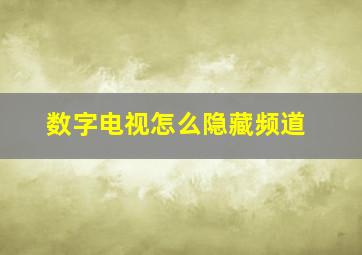 数字电视怎么隐藏频道