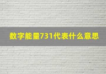 数字能量731代表什么意思