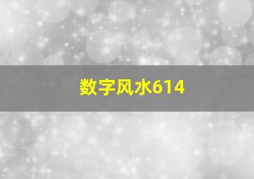 数字风水614