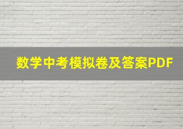 数学中考模拟卷及答案PDF