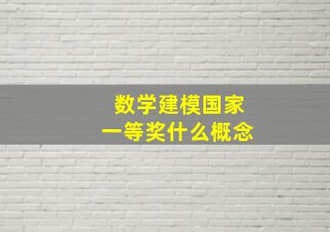 数学建模国家一等奖什么概念