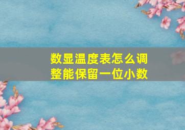 数显温度表怎么调整能保留一位小数