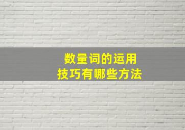 数量词的运用技巧有哪些方法