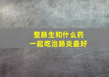 整肠生和什么药一起吃治肠炎最好