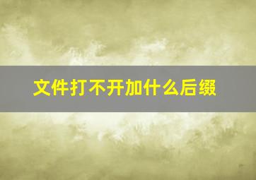 文件打不开加什么后缀