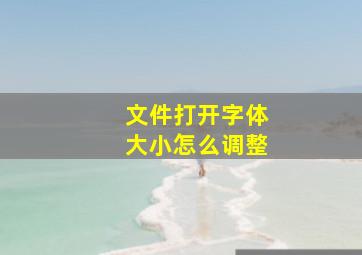 文件打开字体大小怎么调整