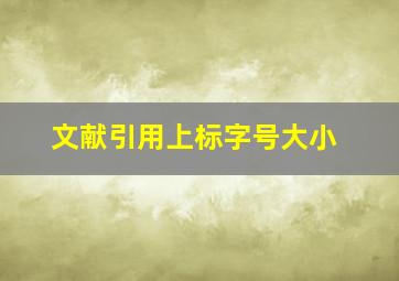 文献引用上标字号大小