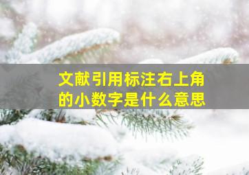 文献引用标注右上角的小数字是什么意思