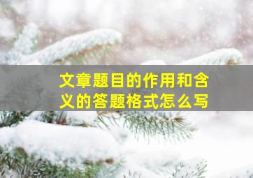 文章题目的作用和含义的答题格式怎么写