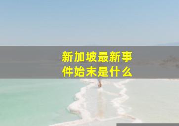 新加坡最新事件始末是什么