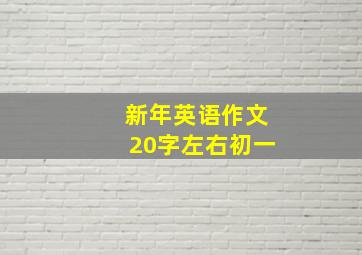 新年英语作文20字左右初一